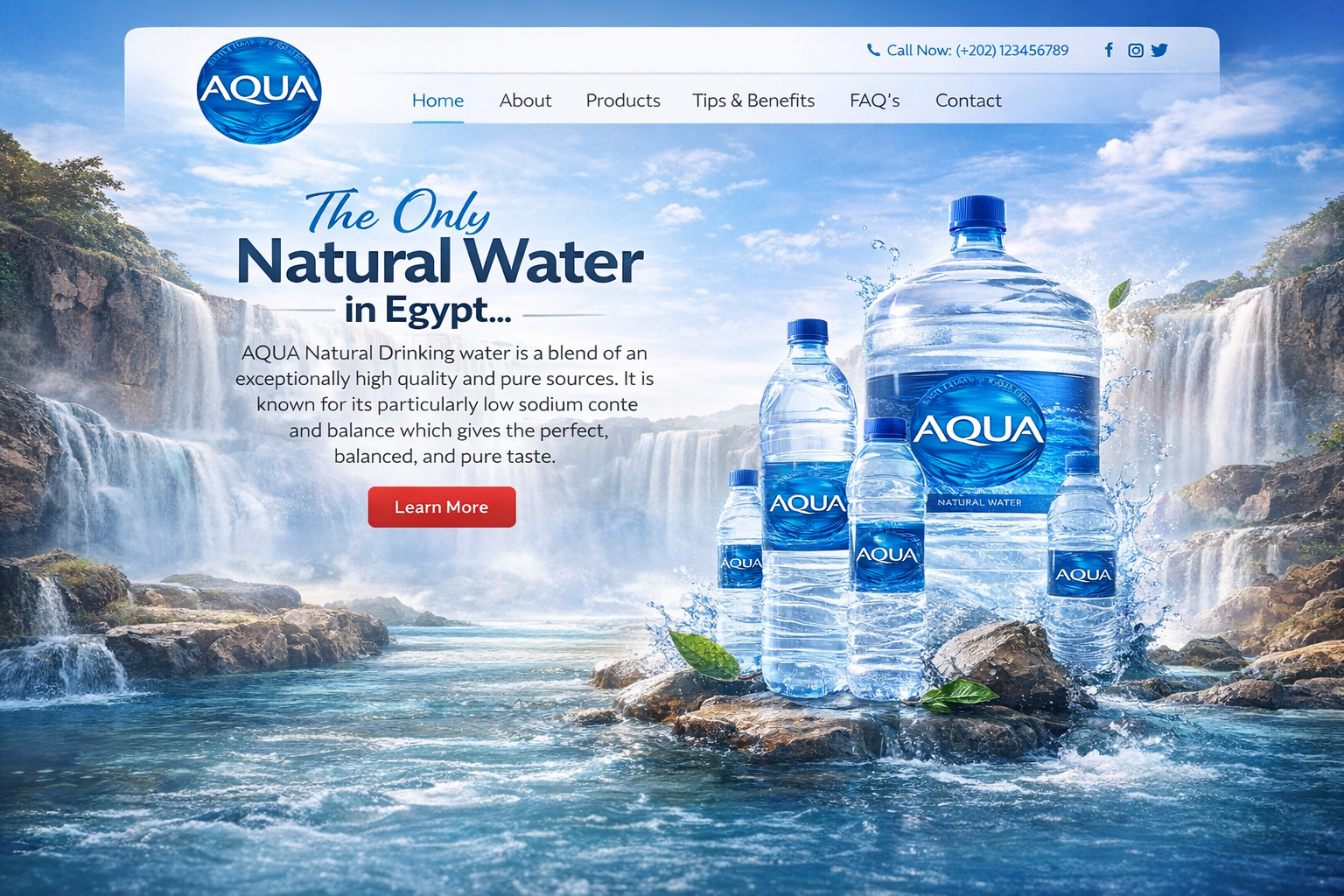 AQUA Egypt Website Revamp and Database Migration Success Story - Content Image Middle