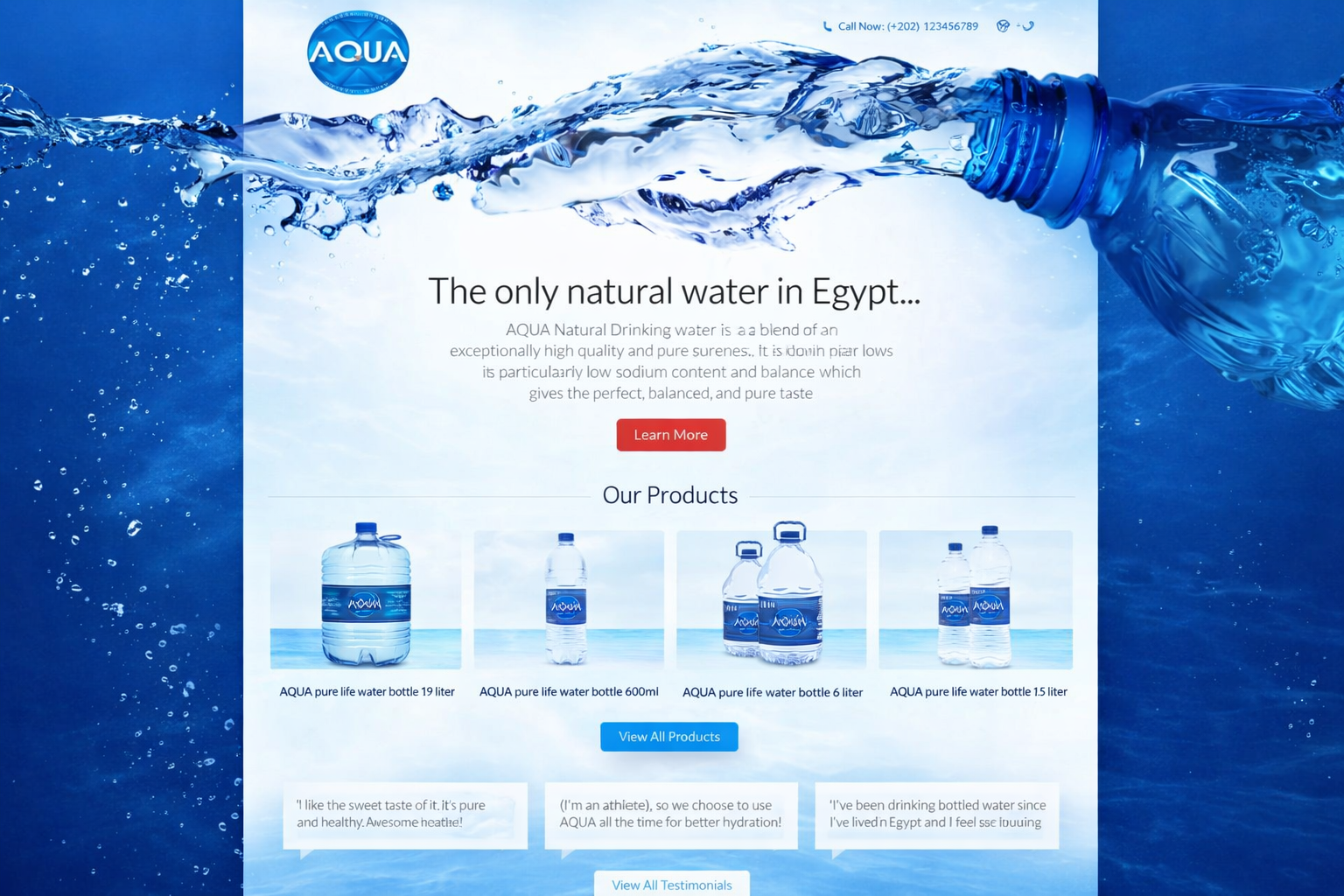 AQUA Egypt Website Revamp and Database Migration Success Story