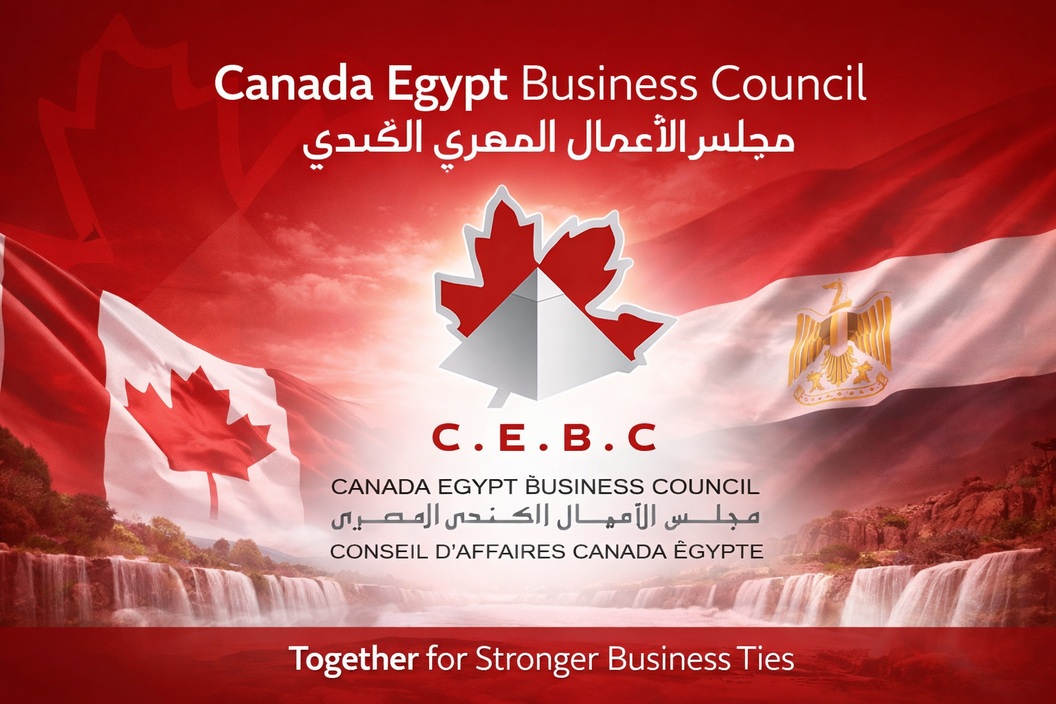 Redesigning the Canada Egypt Business Council Website for Clarity and Growth