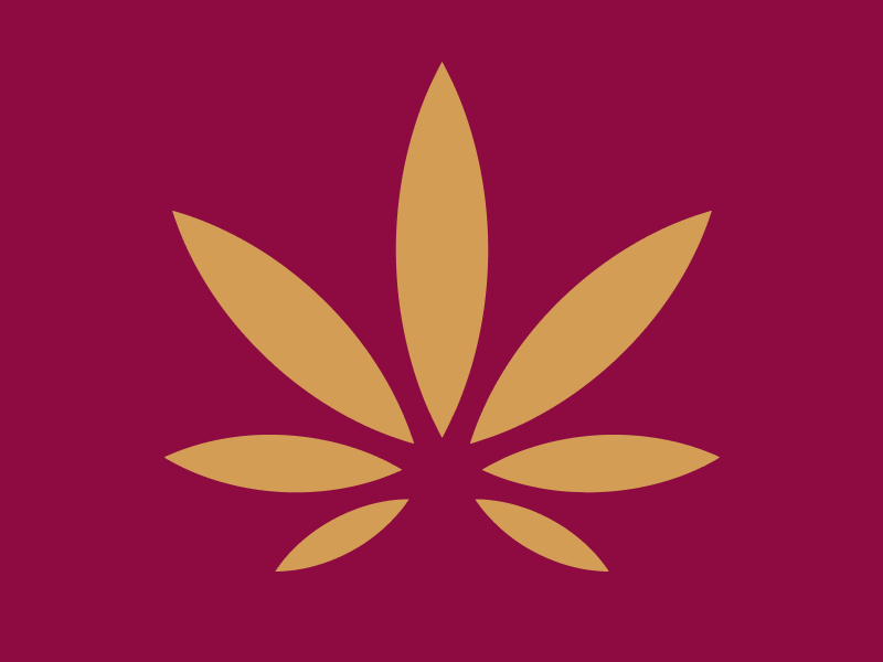 Designing Trust into Pakistan’s Wedding Bookings - Content Image Top