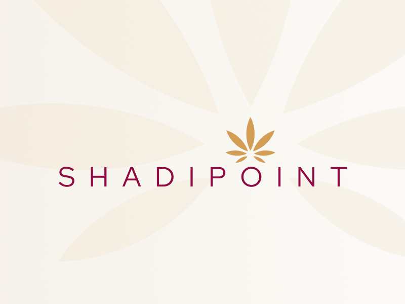 Designing Trust into Pakistan’s Wedding Bookings