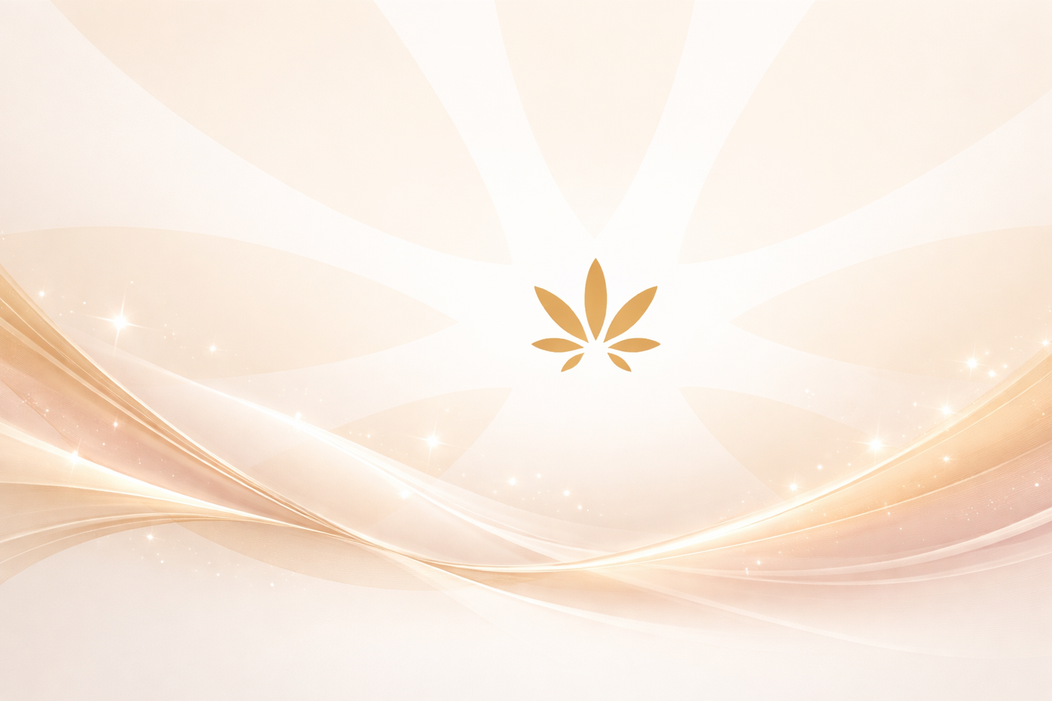 Designing Trust into Pakistan’s Wedding Bookings